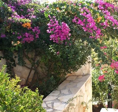 Hermes Villa